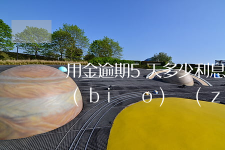 備用金逾期5天多少利息？合法范圍及合適標(biāo)準(zhǔn)解析