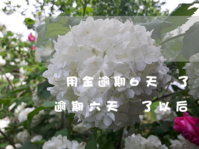 備用金逾期6天還了還能套出來嗎-備用金逾期六天還了以后還能用嗎