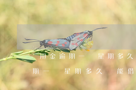 備用金逾期一個星期多久還能借-備用金逾期一個星期多久還能借出來