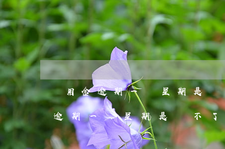 備用金逾期一個星期是還不了款嗎-備用金逾期一個星期是還不了款嗎怎么辦