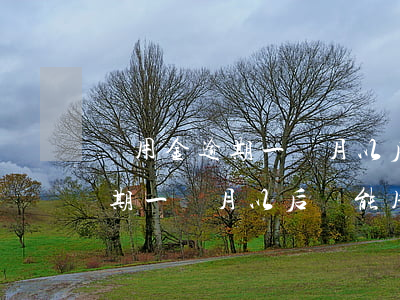 備用金逾期一個月以后還能用嗎-備用金逾期一個月以后還能用嗎