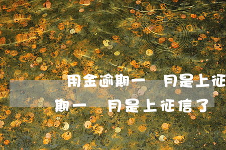 備用金逾期一個月是上征信了嗎-備用金逾期一個月是上征信了嗎怎么辦