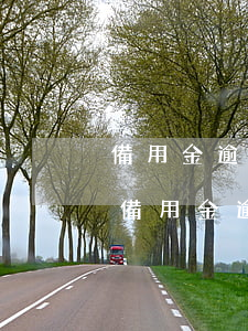 備用金逾期一天什么時候會恢復(fù)-備用金逾期一天什么時候會恢復(fù)額度