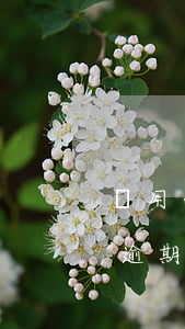 備用金逾期一天全部都無法使用了-備用金逾期一天全部都無法使用了怎么辦