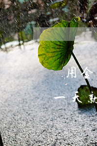 備用金逾期一天就不能使用了嗎(備用金逾期一天就不能使用了嗎怎么辦)