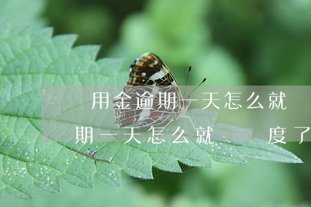 備用金逾期一天怎么就沒額度了-備用金逾期一天怎么就沒額度了呢