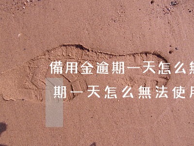 備用金逾期一天怎么無法使用了-備用金逾期一天怎么無法使用了呢