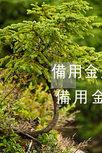 備用金逾期一天提示無(wú)使用資格-備用金逾期一天提示無(wú)使用資格