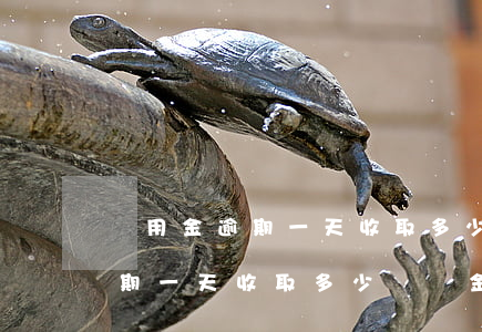 備用金逾期一天收取多少滯納金-備用金逾期一天收取多少滯納金合適