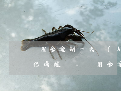 備用金逾期一天會(huì)發(fā)短信提醒嗎-備用金逾期一天會(huì)發(fā)短信提醒嗎是真的嗎