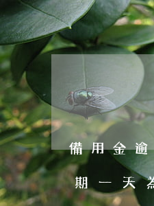備用金逾期一天為什么不能用了-備用金逾期一天為什么不能用了呢