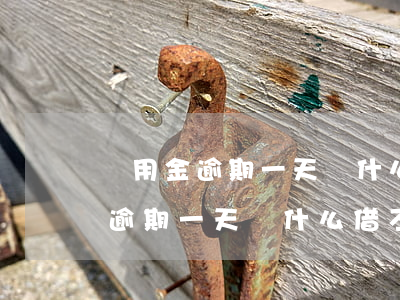 備用金逾期一天為什么借不出來了-備用金逾期一天為什么借不出來了呢