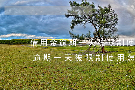備用金逾期一天被限制使用怎么辦-備用金逾期一天被限制使用怎么辦呢