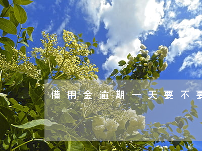 備用金逾期一天要不要緊需要錢么