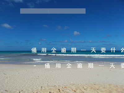 備用金逾期一天要什么時(shí)候開啟-備用金逾期一天要什么時(shí)候開啟呢