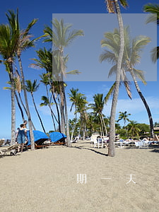 備用金逾期一天還了能取出來嗎-備用金逾期一天還了能取出來嗎安全嗎