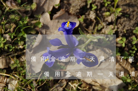 備用金逾期一天還清了能繼續(xù)用么-備用金逾期一天還清了能繼續(xù)用么嗎