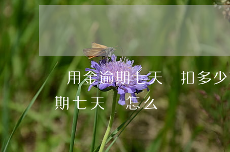 備用金逾期七天會扣多少芝麻分-備用金逾期七天會怎么樣