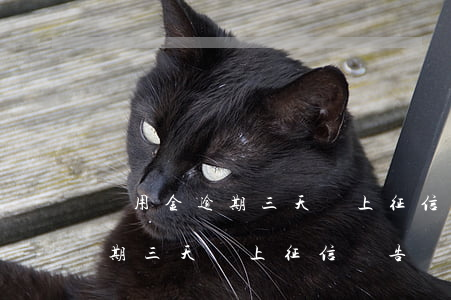 備用金逾期三天寫上征信報告嗎-備用金逾期三天寫上征信報告嗎有影響嗎