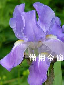 備用金逾期了一天還款