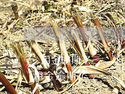 備用金逾期了三個(gè)月會被起訴嗎(備用金逾期了三個(gè)月會被起訴嗎)
