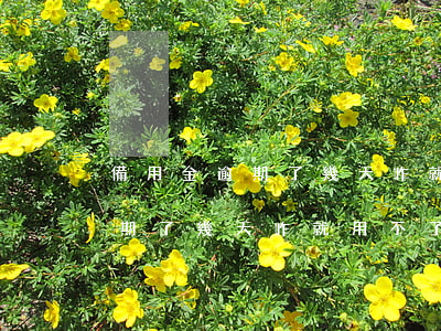 備用金逾期了幾天咋就用不了了-備用金逾期了幾天咋就用不了了呢