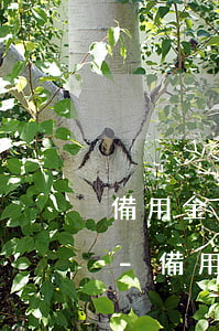 備用金逾期了會(huì)影響花唄還款嗎-備用金逾期了會(huì)影響花唄還款嗎