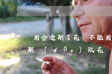 備用金逾期了花唄不能用怎么辦-備用金逾期導(dǎo)致花唄不能使用怎么辦