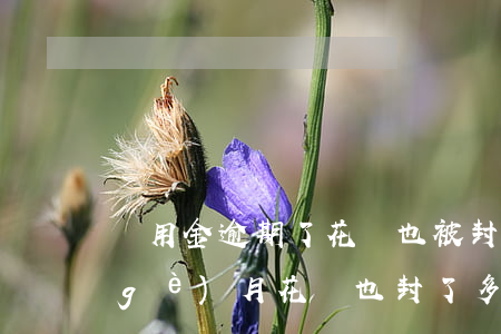 備用金逾期了花唄也被封(備用金逾期半個(gè)月花唄也封了,多長時(shí)間還可以用花唄)
