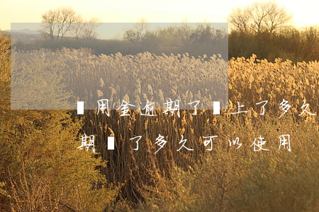 備用金逾期了還上了多久才能用-備用金逾期還了多久可以使用