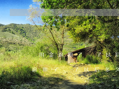 備用金逾期了還了以后多久可以用-備用金逾期了還了以后多久可以用啊