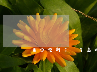 備用金逾期了還了怎么額度少了-