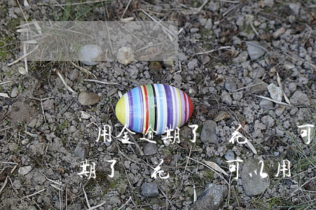 備用金逾期了還花唄還可以用嗎-備用金逾期了還花唄還可以用嗎安全嗎