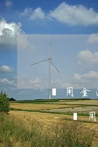 備用金逾期了還進(jìn)去多久可以用-備用金逾期了還進(jìn)去多久可以用啊