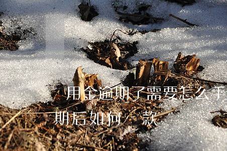 備用金逾期了需要怎么手動還款-備用金逾期后如何還款