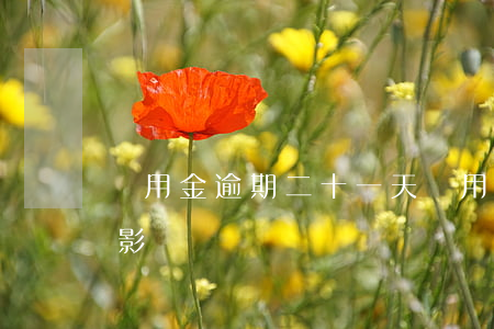 備用金逾期二十一天(備用金逾期二十天有啥影響)