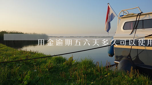 備用金逾期五六天多久可以使用-