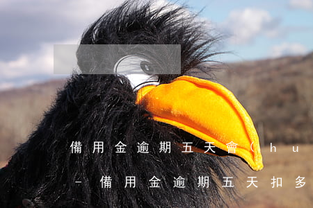 備用金逾期五天會(huì)扣多少芝麻分-備用金逾期五天扣多少信用分