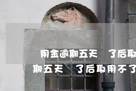 備用金逾期五天還了后取用不了-備用金逾期五天還了后取用不了怎么辦