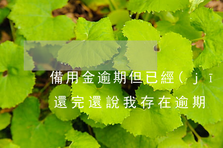 備用金逾期但已經(jīng)還款(備用金還完還說我存在逾期)