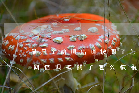 備用金逾期借唄被關了怎么恢復-備用金逾期借唄被關了怎么恢復正常