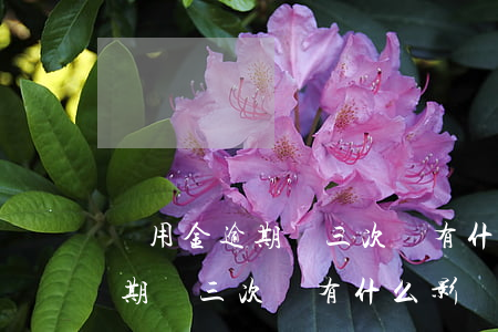 備用金逾期兩三次會有什么影響-備用金逾期兩三次會有什么影響嗎