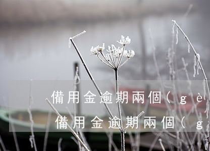 備用金逾期兩個(gè)月多久可以開通-備用金逾期兩個(gè)月多久可以開通借唄