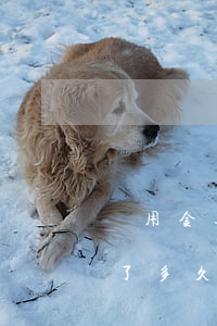 備用金逾期兩天后還(備用金逾期兩天后還清了多久能恢復(fù)使用資格)