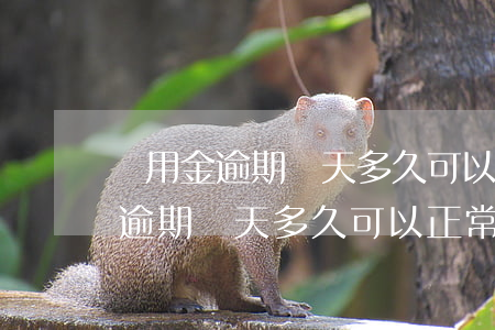 備用金逾期兩天多久可以正常使用-備用金逾期兩天多久可以正常使用了