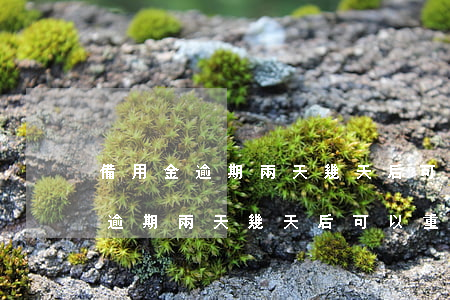 備用金逾期兩天幾天后可以重新用-備用金逾期兩天幾天后可以重新用嗎