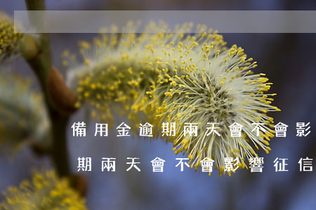 備用金逾期兩天會不會影響征信-備用金逾期兩天會不會影響征信記錄