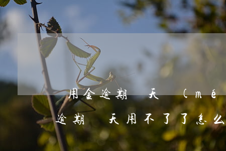 備用金逾期兩天沒(méi)法用-備用金逾期兩天用不了了怎么辦