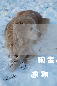 備用金逾期兩天為什么不能使用啦-備用金逾期兩天為什么不能使用啦呢