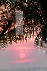 備用金逾期兩天無法取用怎么辦-備用金逾期兩天無法取用怎么辦呢